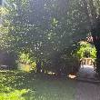 Wieslauter und Brücke