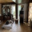 Wohnzimmer Fachwerkhaus