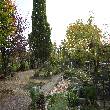 Aussen Garten Bild1