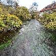 Die Würm