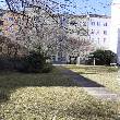 Garten - Bild 1