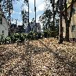 PHOTO20250227130739_2kDHwJ