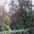Garten - Bild 2