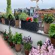 Terrasse - Bild 2