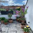 Terrasse - Bild 4